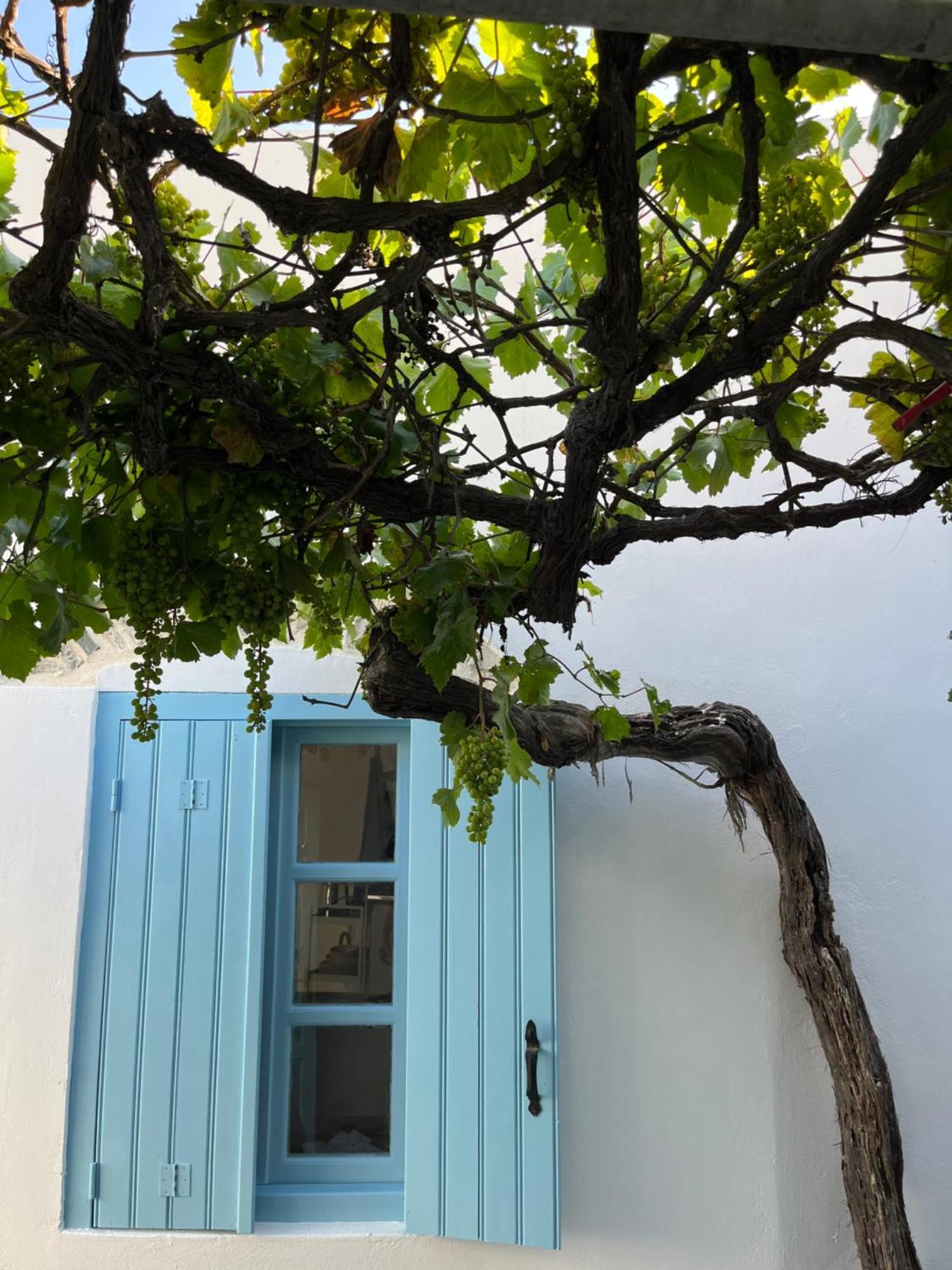 Dream House Little Villa - أمورجوس المظهر الخارجي الصورة